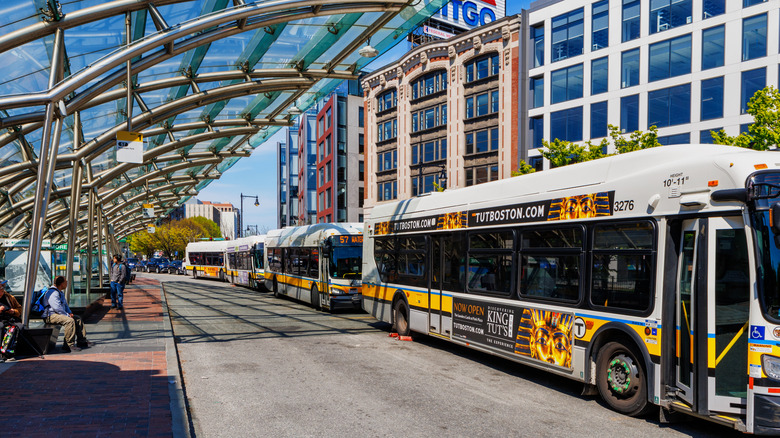 Transit buses in the Boston metropolitan area.