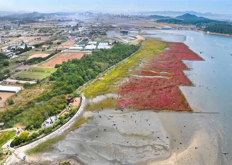 Kia Signs Multilateral MOU for ‘Seocheon Tidal Flat Blue Carbon Ecological Restoration Project